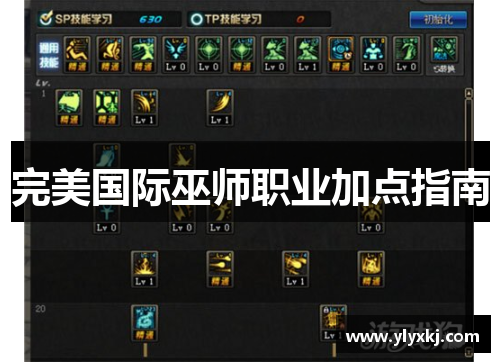 完美国际巫师职业加点指南
